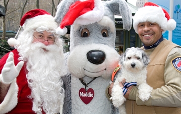 Santa Maddie